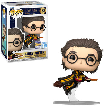HARRY POTTER: ON BROOM (WINTERCON 2025) EXCLUSIVE
